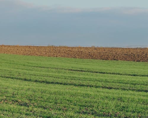 Investir dans le photovoltaïque ou l'éolien ?