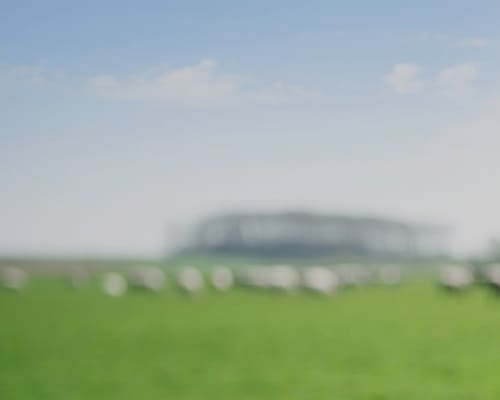 Vers la fin du monopole des cabinets d\