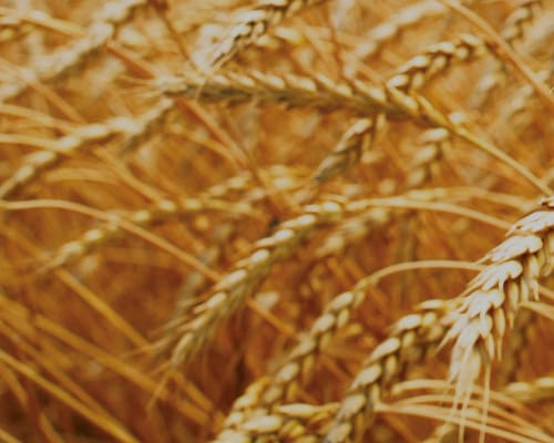 Comment changer le siège social d\